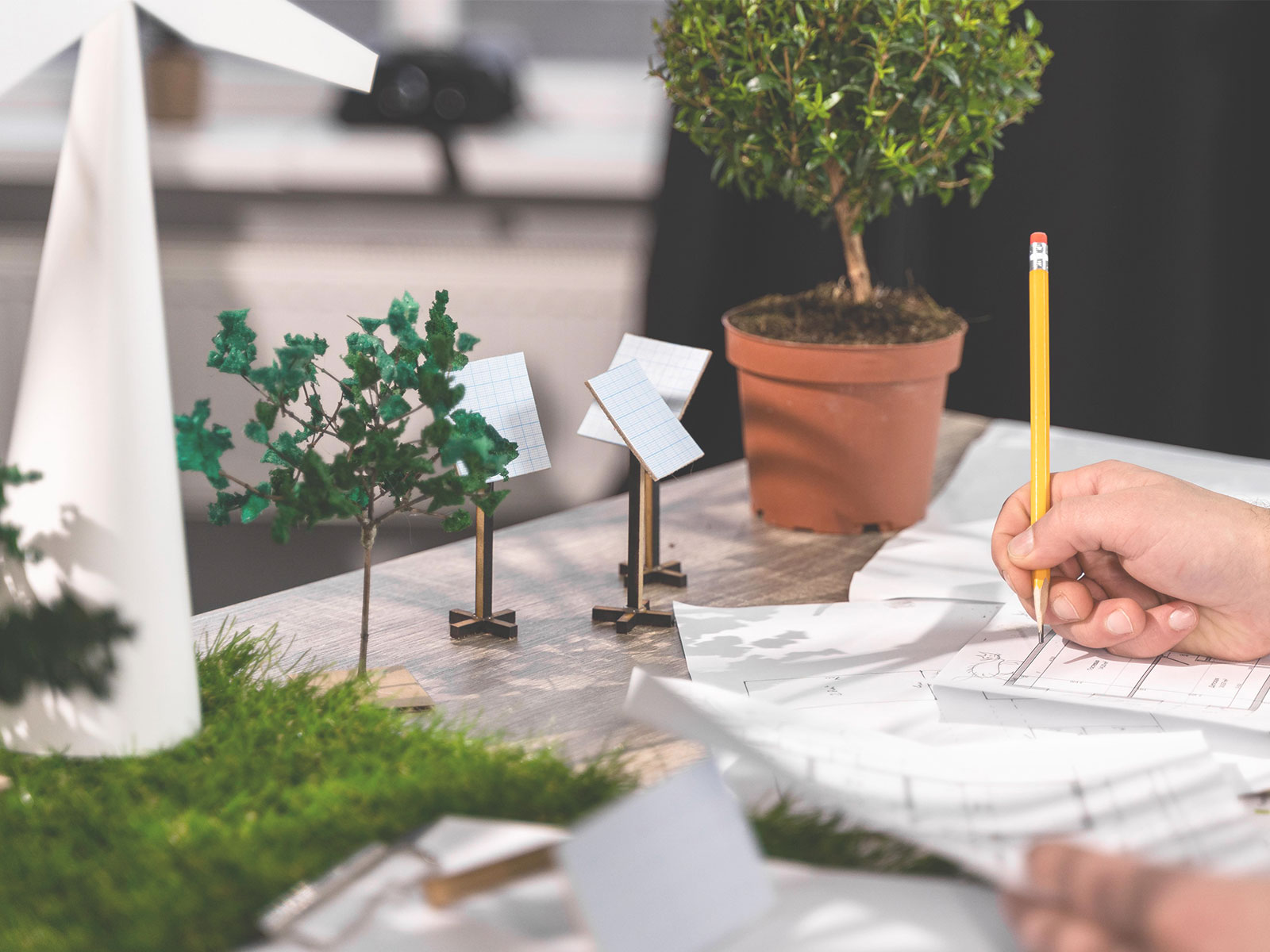 Peyzaj Danışmanlık